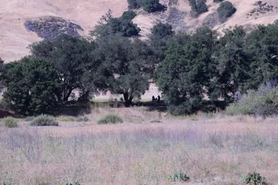 DSC_2058 (Large).JPG